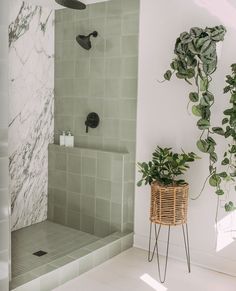 a bathroom with green tile and plants in the shower