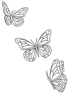 three butterflies flying in the sky with one on its back and one on it's side