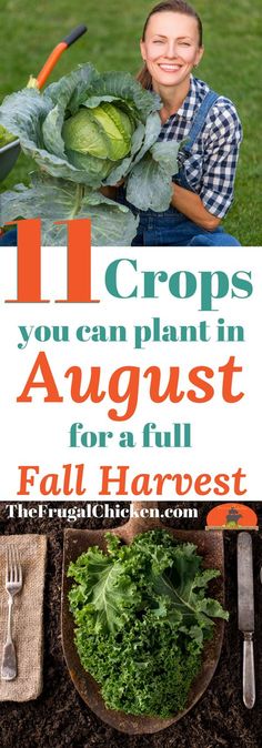 a woman holding a sign that says 11 crops you can plant in august for a full fall harvest