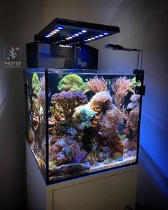 an aquarium is shown with its lights on