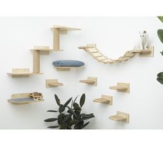 a white cat sitting on top of a wooden shelf next to a plant and bookshelf