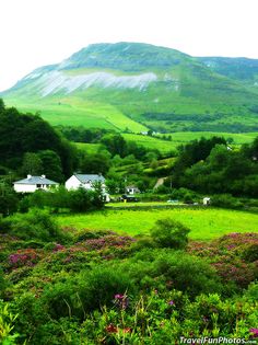 a lush green field with houses and mountains in the background