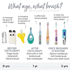 an info sheet describing the different types of toothbrushes and how to use them