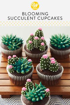 some cupcakes with cactus decorations on them