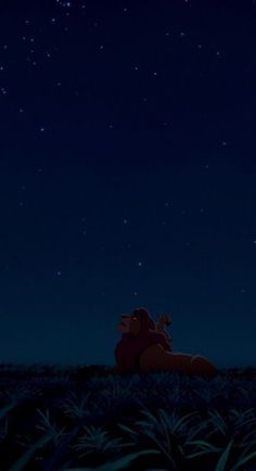 the lion and the person are sitting in the grass under the night sky with stars