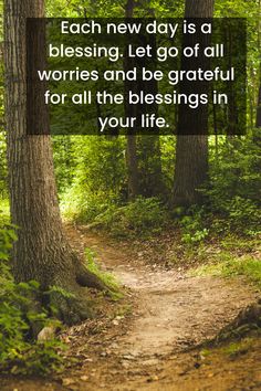 a path in the woods with a quote on it saying each new day is a blessing let go of all words and be grateful for all the b