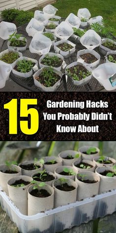 gardening hacks you probably didn't know about 15 garden hacks you probably didn't know about