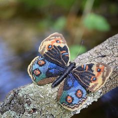 a colorful butterfly sitting on top of a tree branch