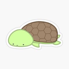 a green turtle sticker on a white background