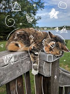 a cat sleeping on top of a wooden fence