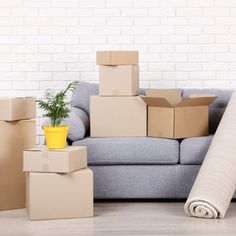 cardboard boxes stacked on top of each other next to a couch with a potted plant