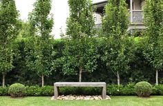 a wooden bench sitting in the middle of a lush green field next to some trees