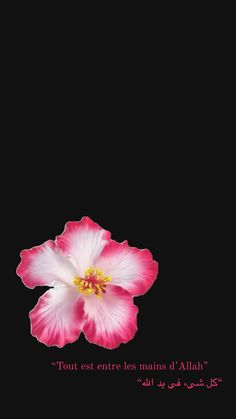 a pink and white flower sitting on top of a black background with the words tout est entre les mois d'alir