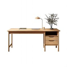 a wooden desk with a plant on it