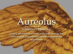 an angel statue with the words aureolus above it