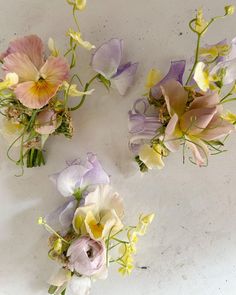 several different colored flowers on a white surface