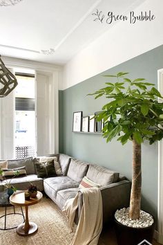 a living room filled with furniture and a potted plant on top of a table