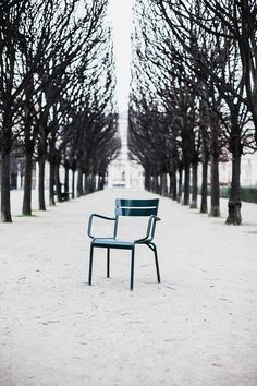 a park bench sitting in the middle of a row of trees with no leaves on it