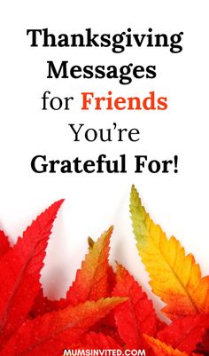 Get inspired with funny & heartwarming Thanksgiving messages for friends in 2024! From hilarious quotes & cute sayings to grateful greetings, share your love with family, best friends, & friend groups. These Christian-inspired wishes & blessings will spread happiness & thankfulness to all. Perfect for sharing images & inspirational messages with the people you cherish most. Send funny, thankful, & happy vibes with these hilarious & uplifting messages this Thanksgiving.