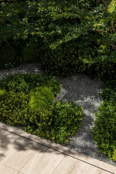 an aerial view of a garden with trees and gravel