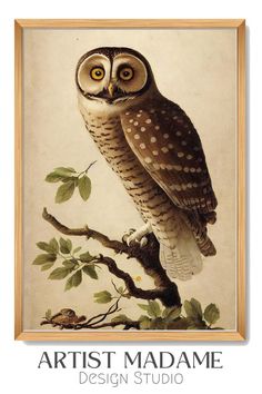 This owl art print is designed with high resolution and quality realistic oil reproduction. Featuring an owl perched on a tree branch, this high quality painting is suitable for any home, office or classroom decor. Owl Art Print, Owl Wall Art, Owl Decor, Owl Painting, Owl Print, Owl Art, Vintage Oil Painting, Tree Branch, Animal Wall Art