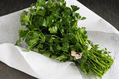 fresh green parsley on a white napkin