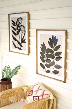 two framed pictures hang on the wall above wicker chairs with pillows and plants in vases