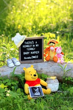 winnie the pooh and her friends are sitting in the grass next to a sign that says there is no rumpled my bumby baby napper