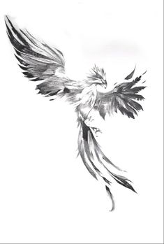 a black and white drawing of a bird flying