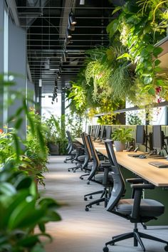 an office with lots of plants hanging from the ceiling and desks on either side