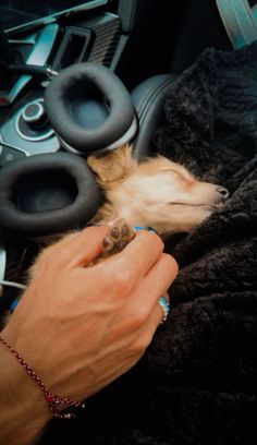 a person is petting a small dog in the back seat of a car with headphones on