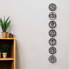 the seven chakragrams are on display in front of a book shelf and potted plant