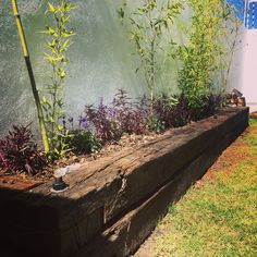 a wooden bench sitting next to a wall with plants growing on it's sides