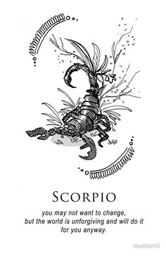 a black and white drawing of a scorpion