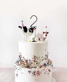 a white cake with sprinkles and two cats on top