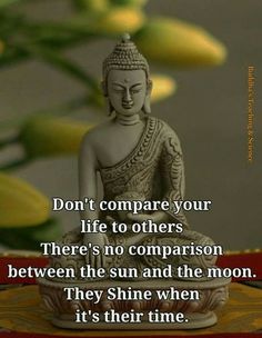 #Buddhist Quotes #Quotes Buddha Thoughts, Buddha Quotes Life, Buddha Quotes Inspirational, Buddhism Quote, Buddhist Quotes, Buddha Teachings, Buddha Quote, Life Quotes Love, Don't Compare