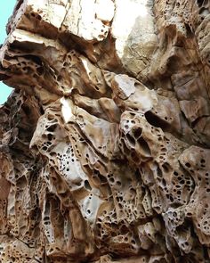 rock formations with holes in them on the side of a cliff faced by blue sky