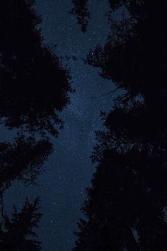 the night sky is filled with stars and trees