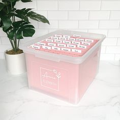 a pink plastic box sitting on top of a counter next to a potted plant