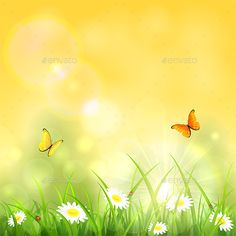 butterflies flying over the grass and daisies - flowers & plants nature