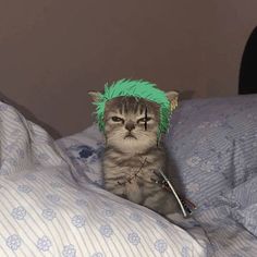 a cat with green hair sitting on top of a bed