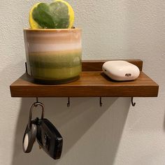 a potted plant sitting on top of a wooden shelf