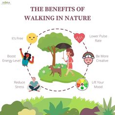 Want to feel happier and more connected to nature? Take a stroll in your favorite park and reap the benefits of walking in nature! 🌱 See how this sustainable living community is helping make our planet a healthier place one step at a time. #sustainability #community #nature #walking #health #NatureIsHealing #ixoraessentials #walkinthewoods #walkinnature #natureismytherapy #mindfulwalking #enjoyingnature #naturetime #escapetonature Nature Benefits, Walking For Health, Benefits Of Walking, Parenting Styles, Walk In The Woods, Study Materials, Walking In Nature, Energy Level, Feeling Happy