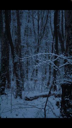 the woods are covered in snow and there is no image on this page to describe