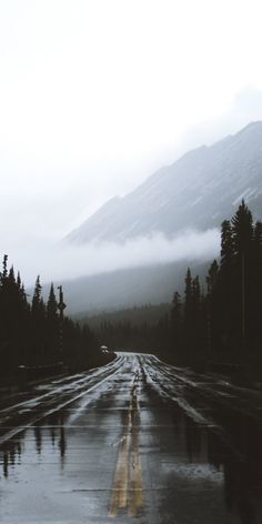 a wet road with trees and mountains in the background