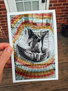 a person holding up a card with a dog on it's back and an image of a chihuahua in the middle