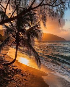 the sun is setting over the ocean with palm trees on the beach and mountains in the distance