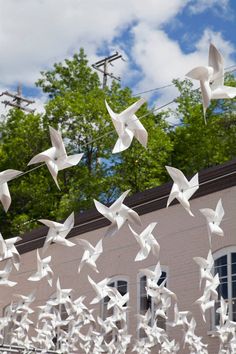 many white birds are flying in the air near a building and some wires with trees behind them