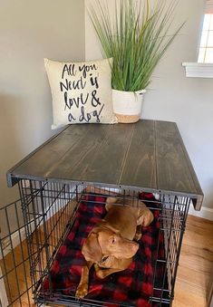 a dog in a cage on top of a wooden table next to a potted plant