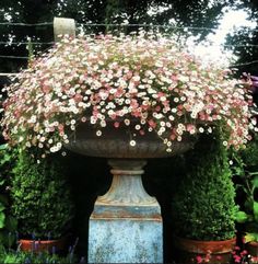 a large vase filled with lots of pink and white flowers next to potted plants